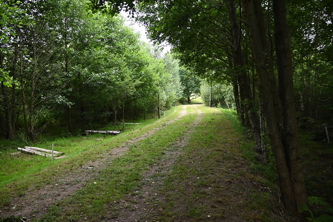 DSC_0487